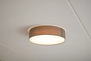 Action Plafondlamp