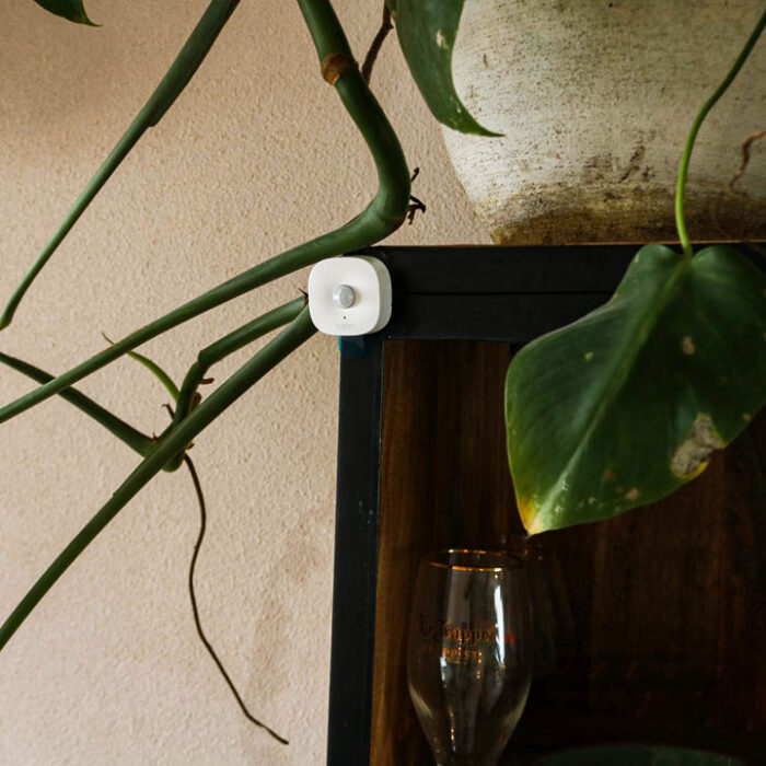 Tapo T100 bewegingssensor