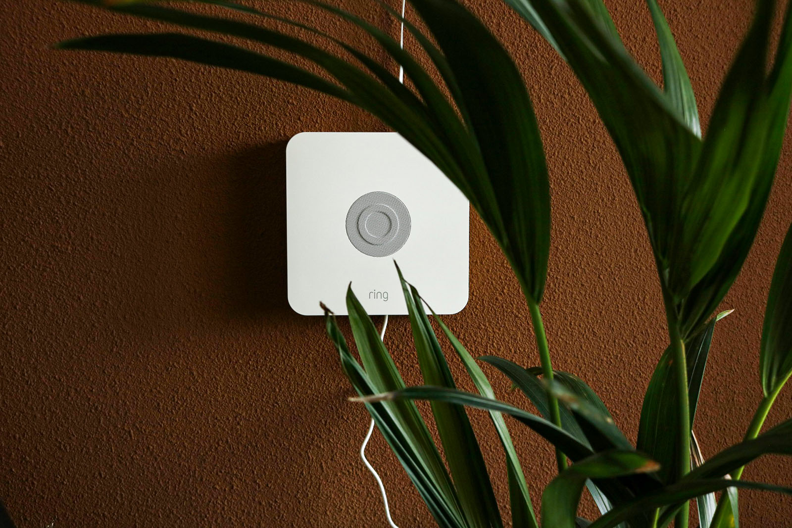 Ring basisstation aan muur