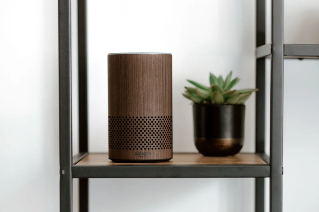 Amazon Alexa speaker bruin