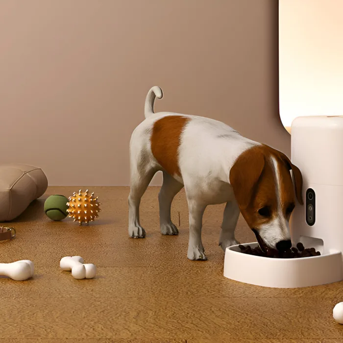 automatische voerbak kat action in woonkamer